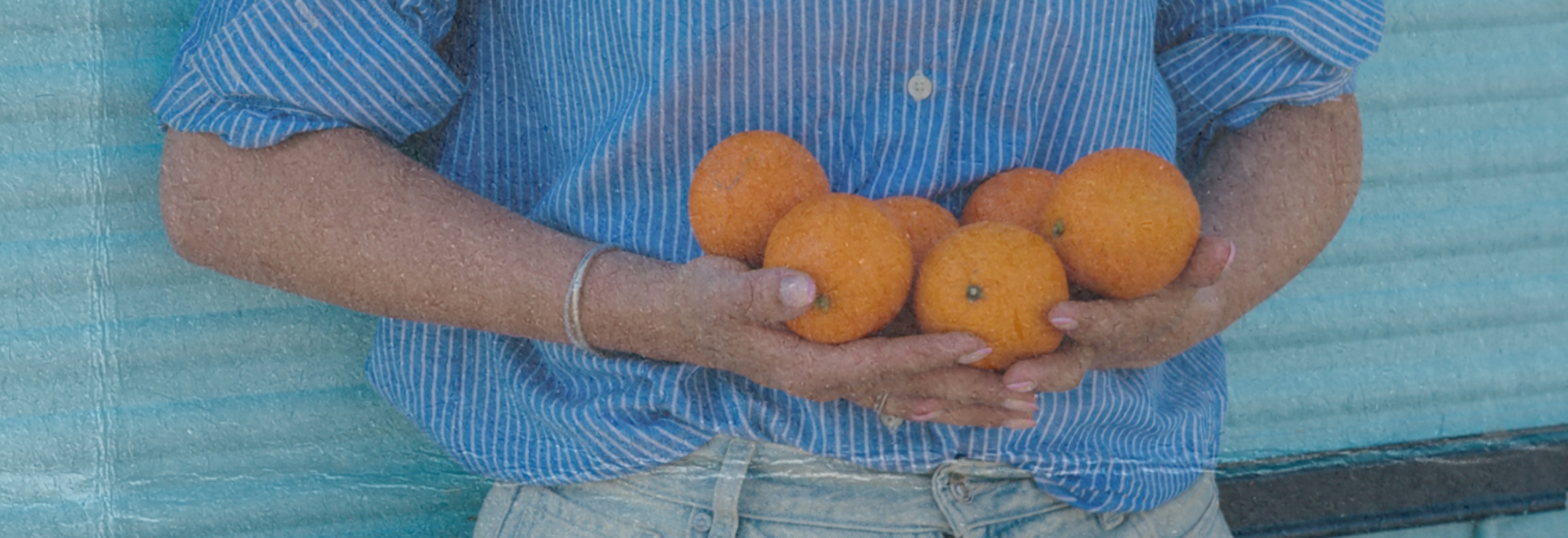 Seizoensfruit