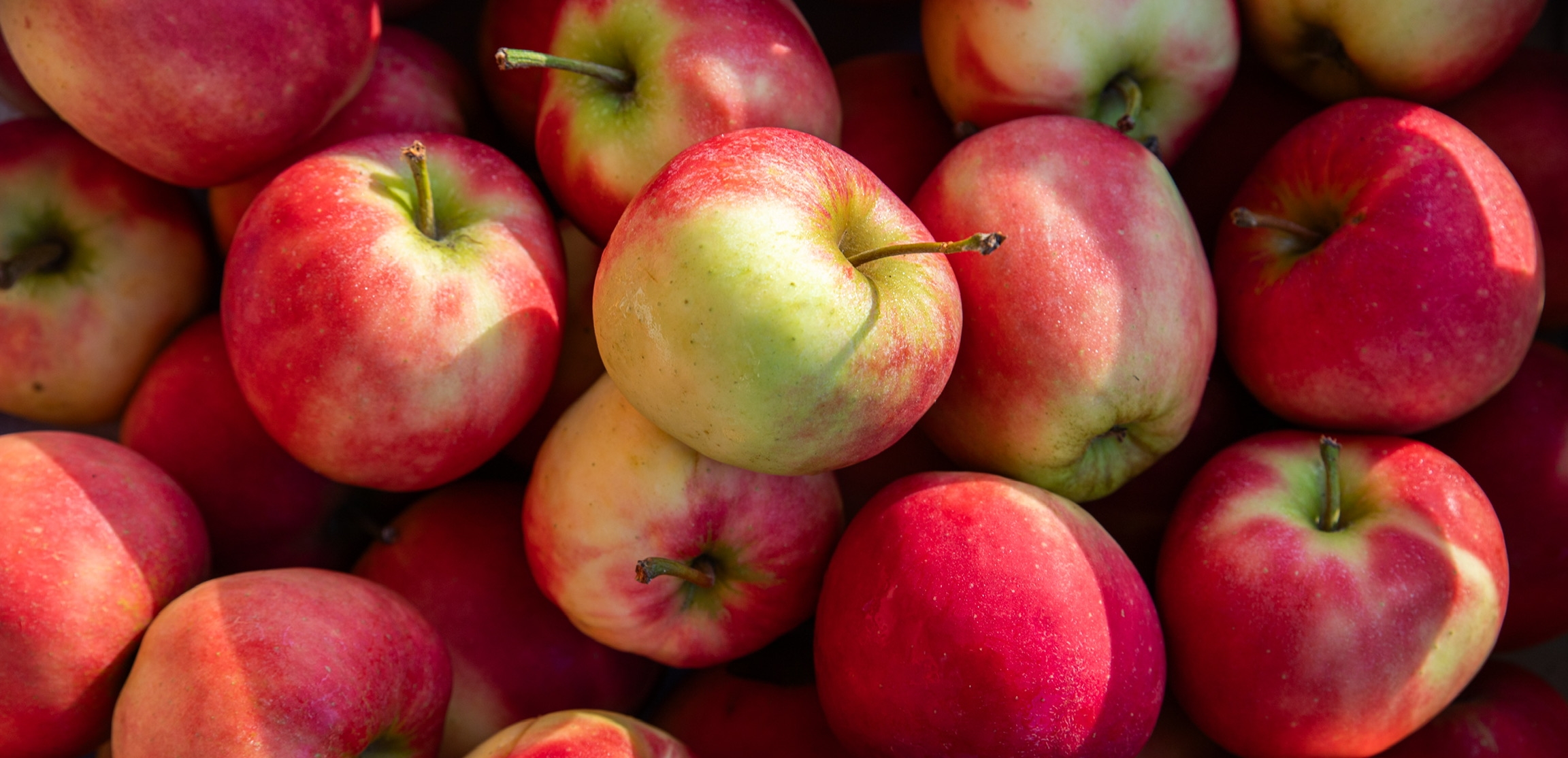 Appels